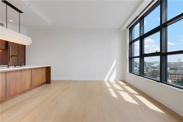 spare room with plenty of natural light, sink, and light hardwood / wood-style floors