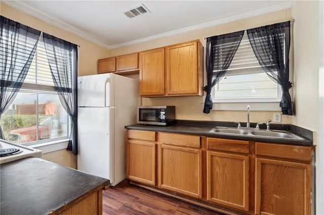 kitchen with ornamental molding, white fridge, sink, and dark hardwood / wood-style flooring