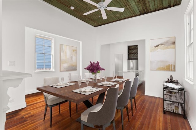 dining room with ceiling fan, plenty of natural light, and dark wood-type flooring