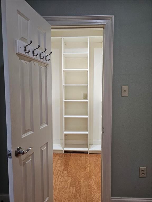 walk in closet featuring light hardwood / wood-style floors