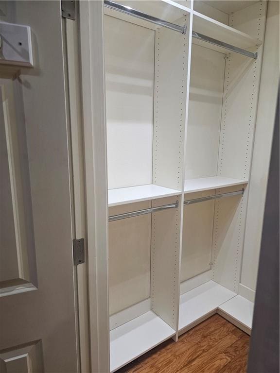 view of closet