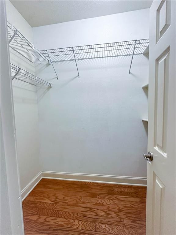 spacious closet with hardwood / wood-style floors