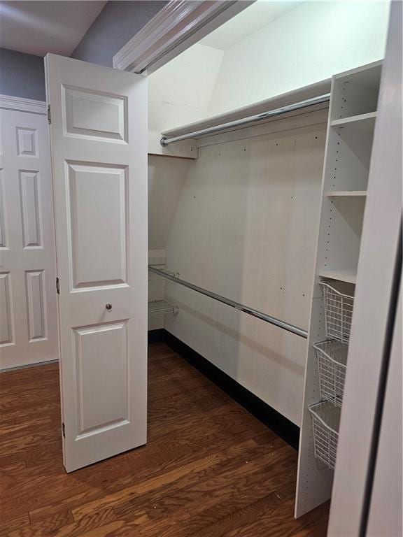 spacious closet featuring dark hardwood / wood-style flooring