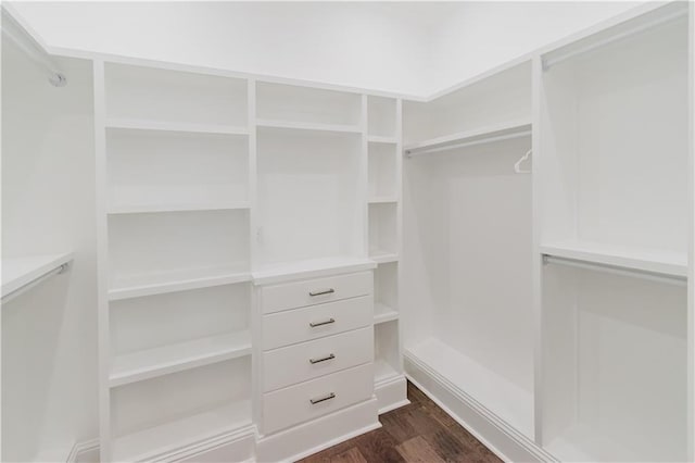 spacious closet featuring dark wood-type flooring