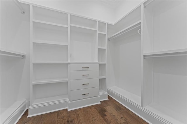 walk in closet with dark hardwood / wood-style floors