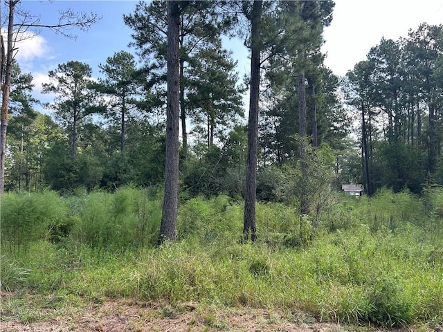 46376 Milton Rd, Hammond LA, 70401 land for sale