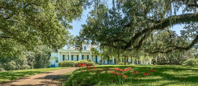 view of front facade featuring a front lawn