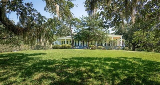 view of yard with covered porch