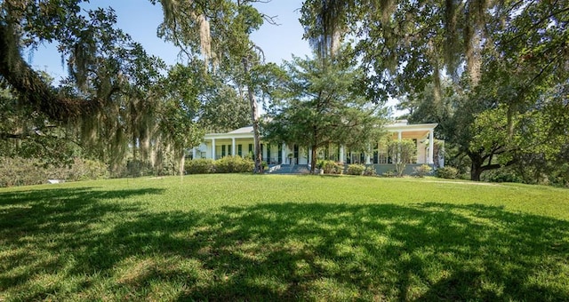 131 Winchester Rd, Natchez, MS 39120 - photo 10
