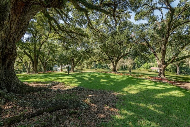 131 Winchester Rd, Natchez, MS 39120 - photo 13