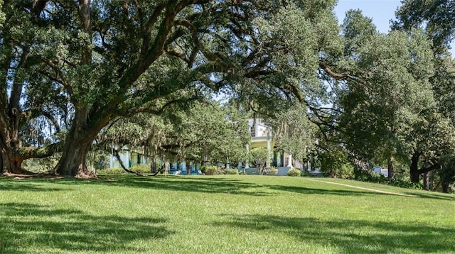 view of home's community with a lawn