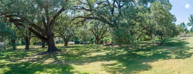 131 Winchester Rd, Natchez, MS 39120 - photo 31