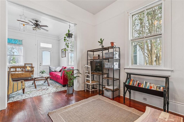 sitting room featuring a wealth of natural light, ceiling fan, dark wood-type flooring, and crown molding