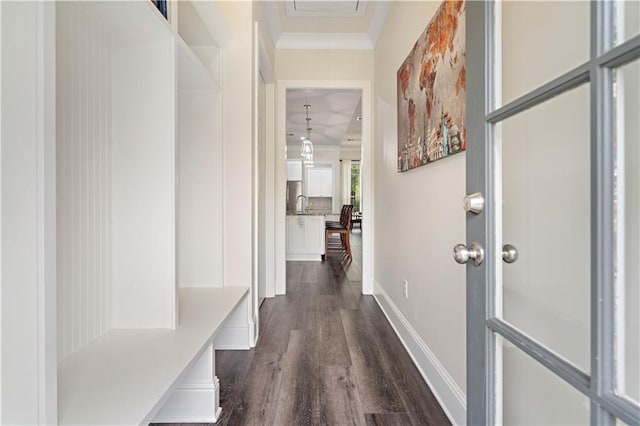 interior space with crown molding and dark wood-type flooring