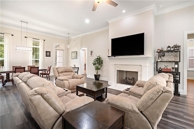 living room featuring ceiling fan, ornamental molding, a fireplace, and dark wood-type flooring