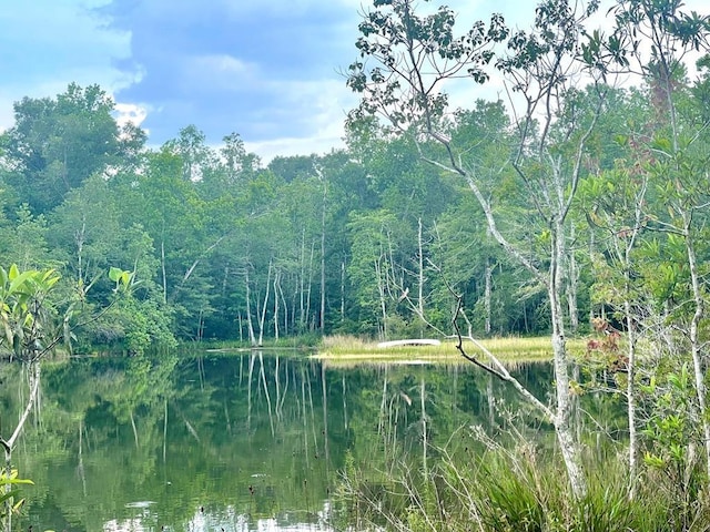 view of nature with a water view