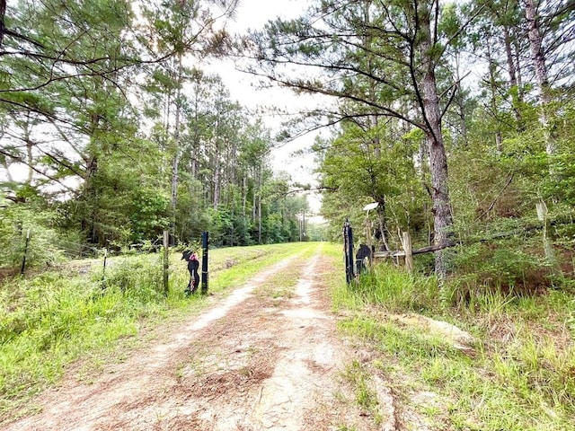 view of road