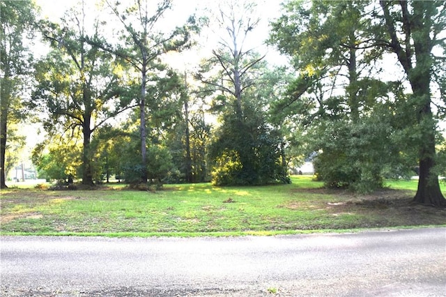 LOT39 Trailhead Dr Drive, Abita Springs LA, 70420 land for sale