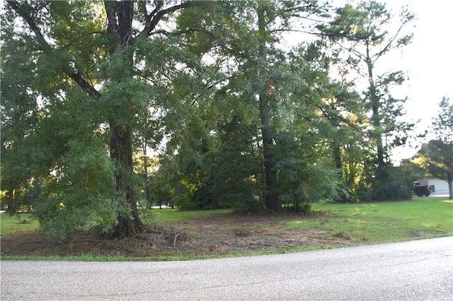 LOT39 Trailhead Dr Drive, Abita Springs, LA 70420 - photo 2