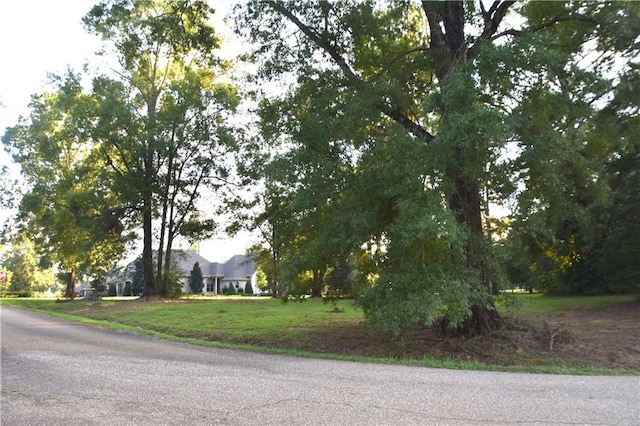 LOT39 Trailhead Dr Drive, Abita Springs, LA 70420 - photo 3
