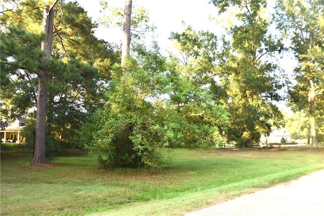 LOT39 Trailhead Dr Drive, Abita Springs, LA 70420 - photo 4