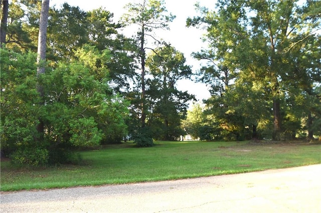 LOT39 Trailhead Dr Drive, Abita Springs, LA 70420 - photo 5