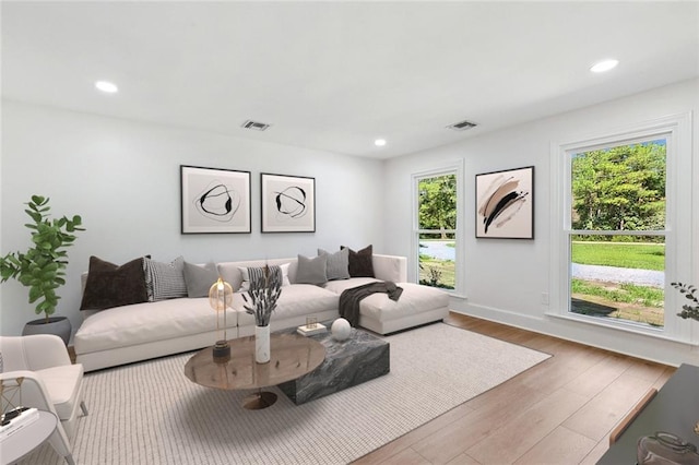 living room with hardwood / wood-style floors