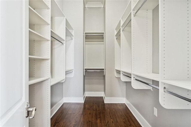 walk in closet with dark hardwood / wood-style floors