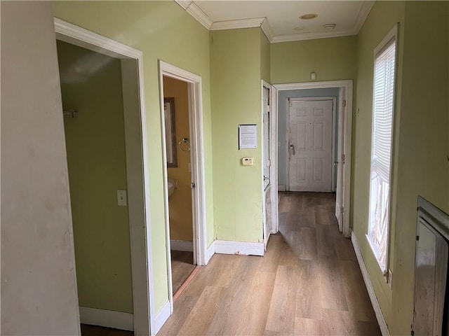 hallway featuring crown molding and light hardwood / wood-style floors