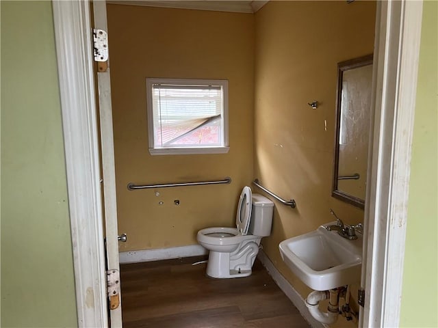 bathroom with sink, hardwood / wood-style flooring, and toilet