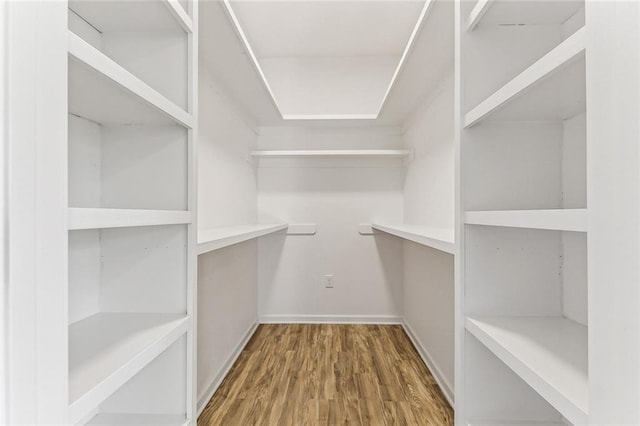 walk in closet featuring wood-type flooring