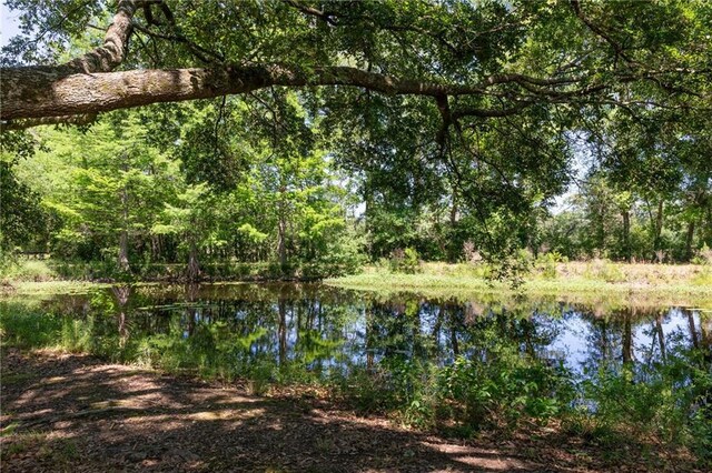 water view