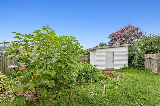 view of yard featuring a shed