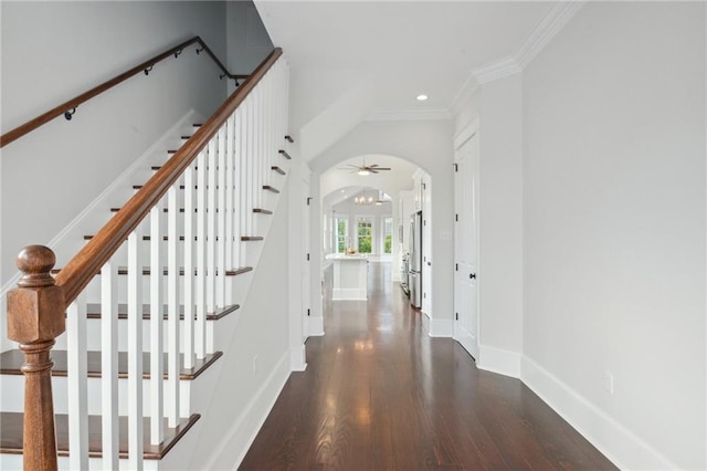 corridor featuring ornamental molding and dark hardwood / wood-style flooring