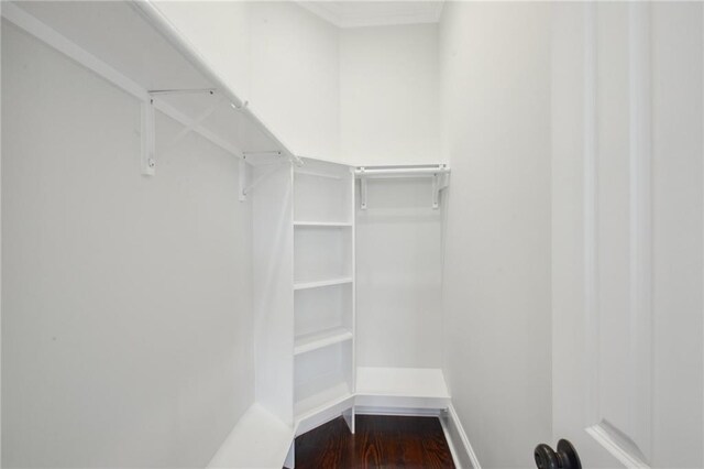 walk in closet featuring hardwood / wood-style floors