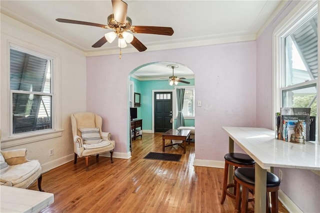 interior space featuring crown molding, ceiling fan, and hardwood / wood-style flooring