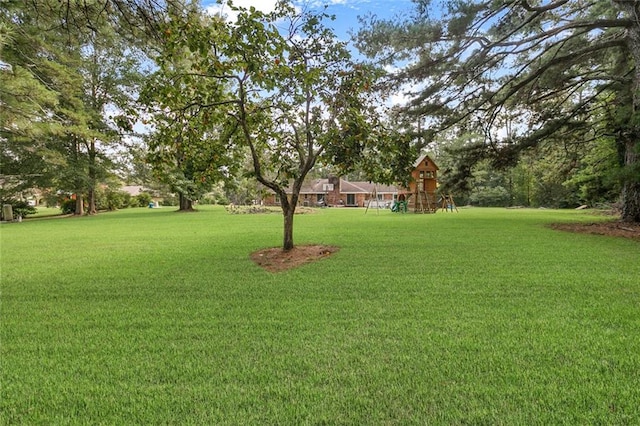 view of yard featuring a playground