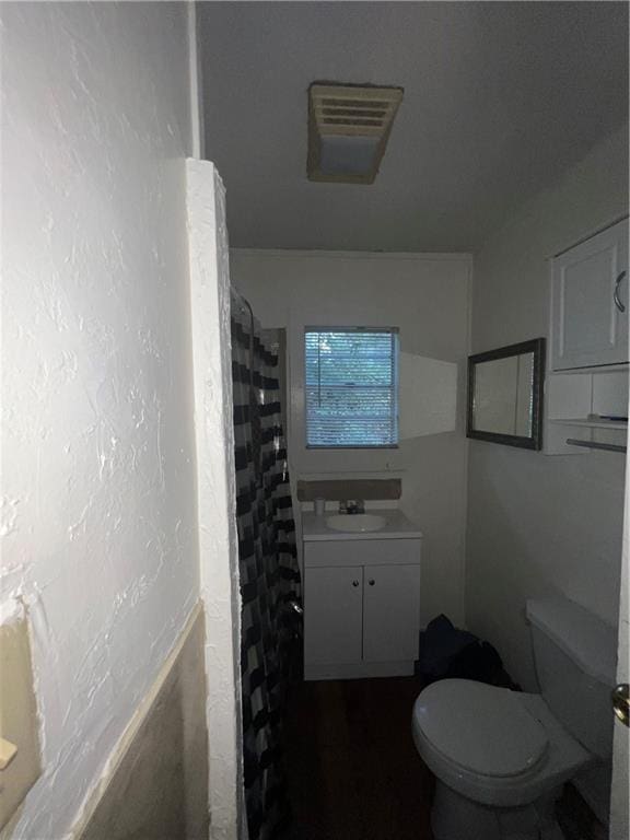 bathroom with vanity, toilet, and a shower with curtain