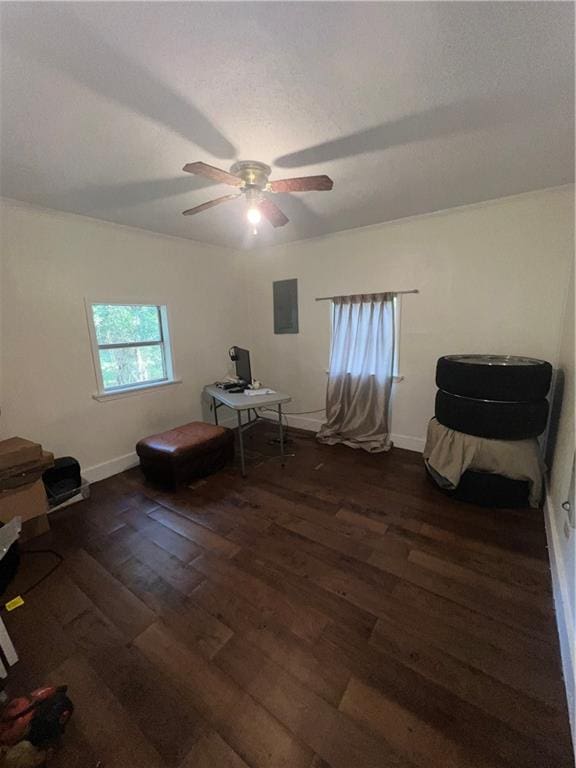 unfurnished room featuring ceiling fan and dark wood-type flooring