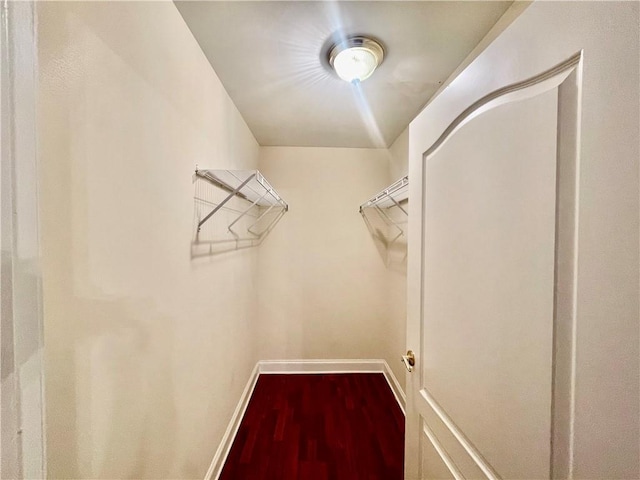 spacious closet featuring wood-type flooring