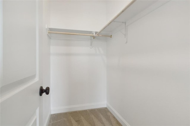 walk in closet with light colored carpet