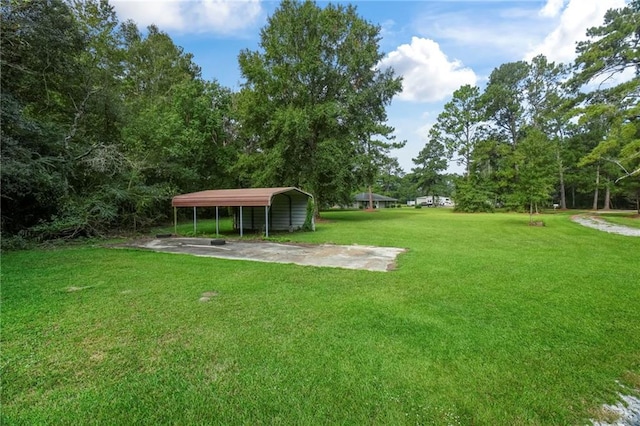 view of yard featuring a carport