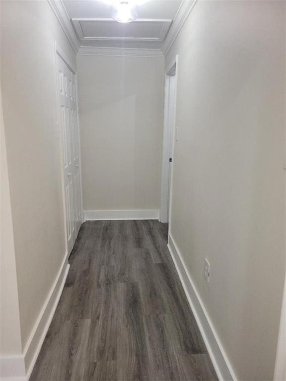 hallway featuring dark hardwood / wood-style floors and crown molding