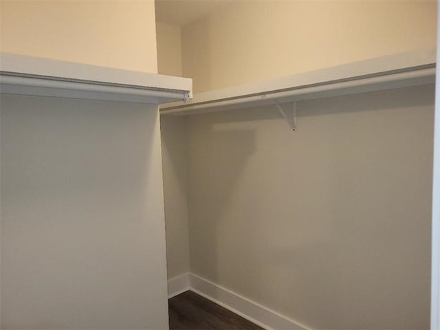 walk in closet featuring dark hardwood / wood-style floors