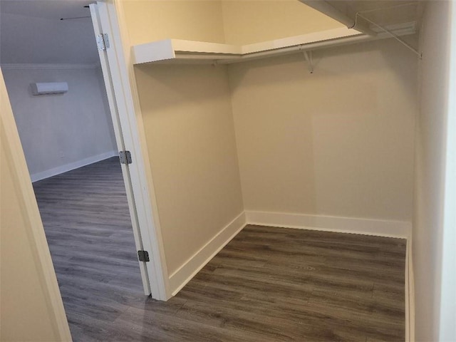 spacious closet featuring dark hardwood / wood-style flooring