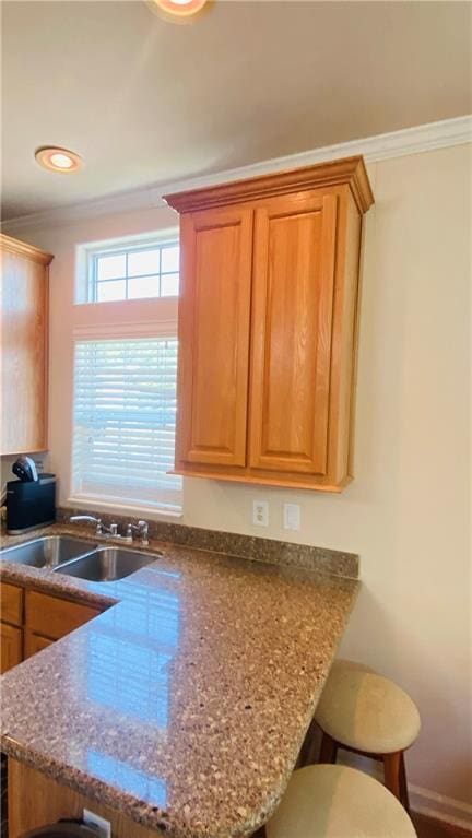 kitchen with crown molding, sink, and stone counters