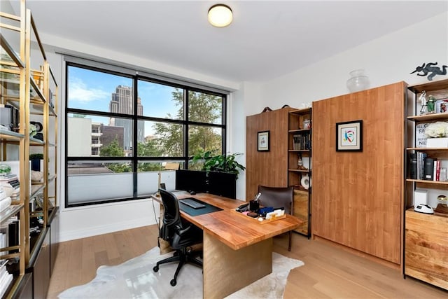 office space featuring light wood-style flooring