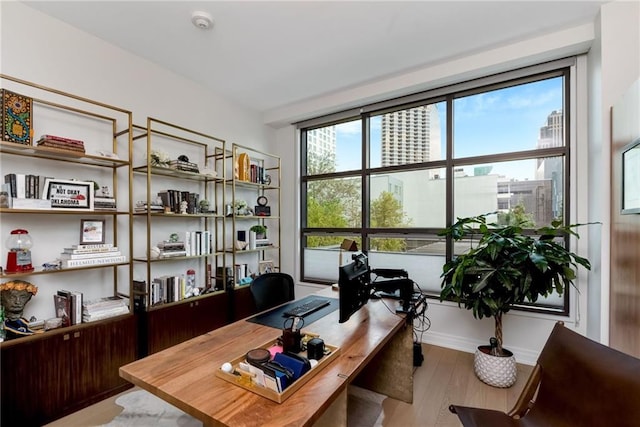 home office featuring light hardwood / wood-style flooring and plenty of natural light