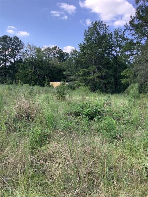 10ACRES John D Woods Rd, Franklinton LA, 70438 land for sale