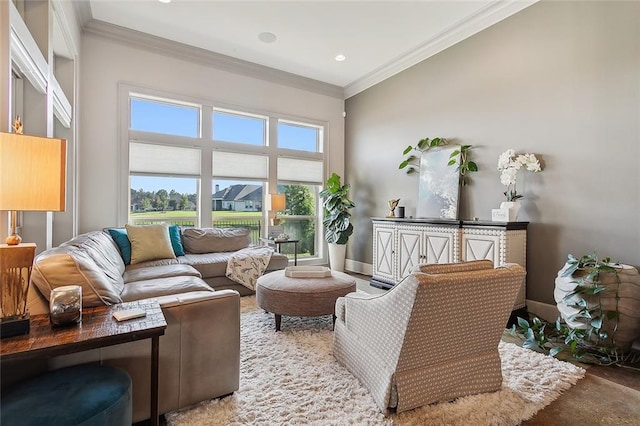 living room with crown molding